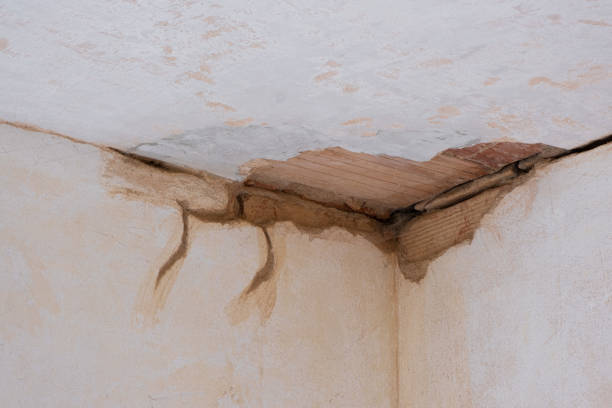 Best Professional water damage repair  in Ata, OK