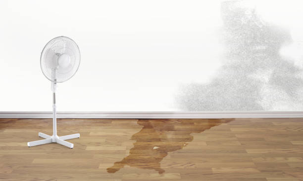 Best Ceiling water damage repair  in Ata, OK