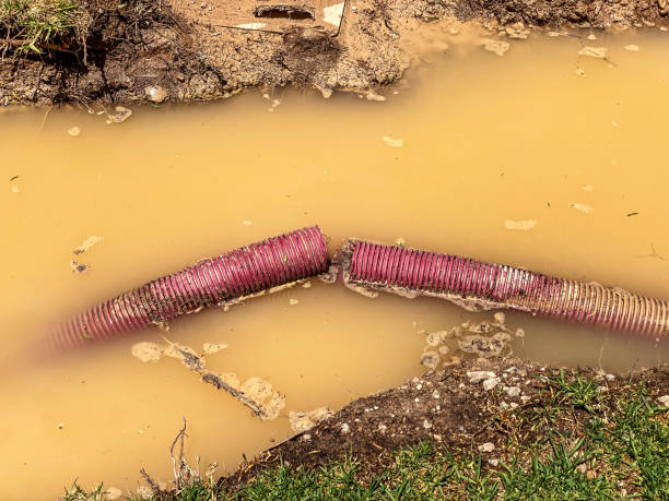 Best Emergency water extraction  in Ata, OK